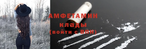 PSILOCYBIN Заводоуковск