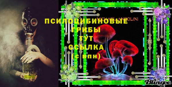 PSILOCYBIN Заводоуковск