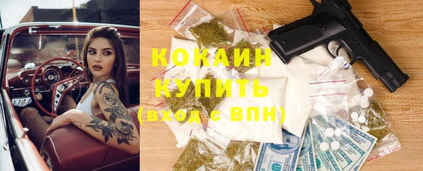 PSILOCYBIN Заводоуковск