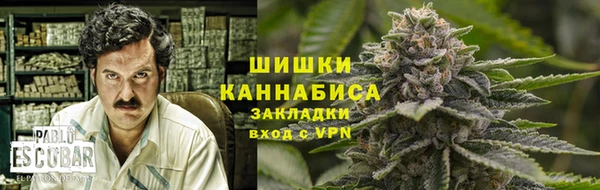 PSILOCYBIN Заводоуковск