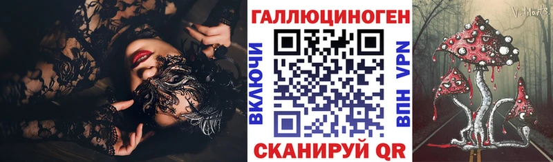 где купить наркоту  MEGA как зайти  Псилоцибиновые грибы Psilocybine cubensis  Новороссийск 