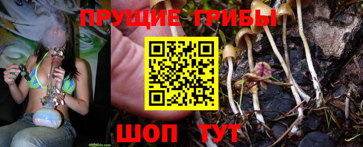 Новороссийск  Галлюциногенные грибы прущие грибы  Галлюциногенные грибы MAGIC MUSHROOMS  Вход с VPN 