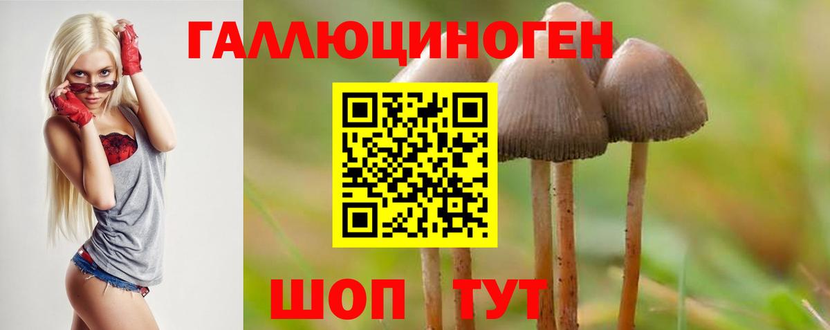Псилоцибиновые грибы прущие грибы Новороссийск