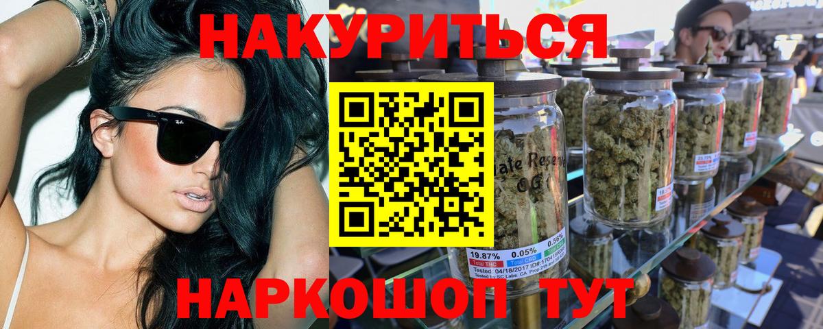 Каннабис сатива Новороссийск