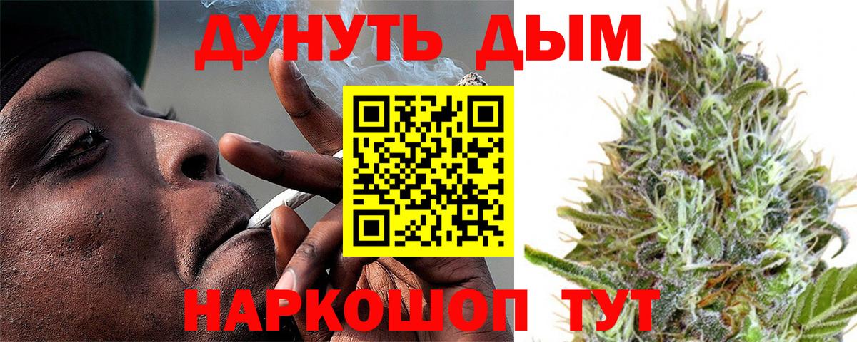 Шишки марихуана конопля  МАРИХУАНА сатива  Новороссийск  Вход с VPN 